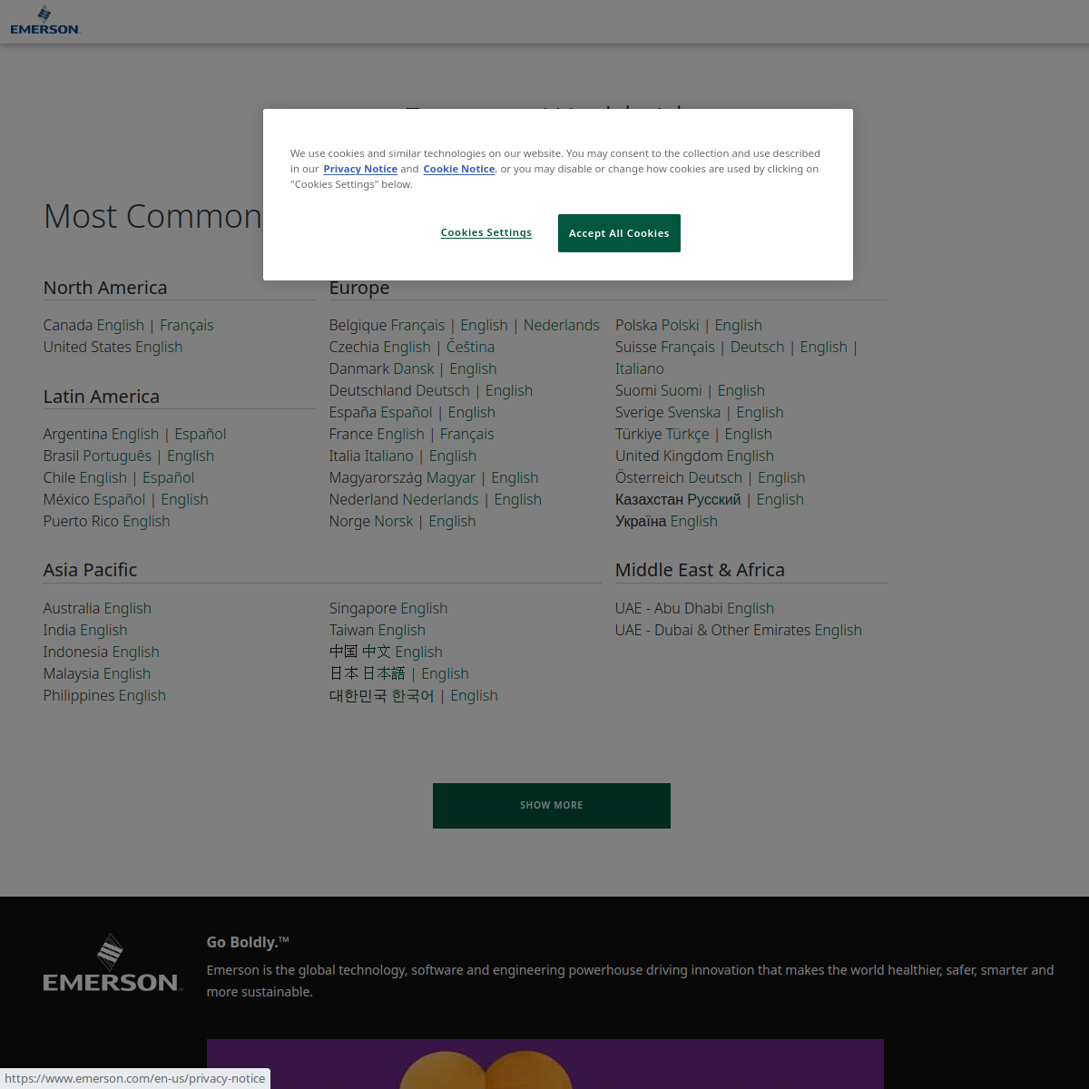 Главная страница Emerson